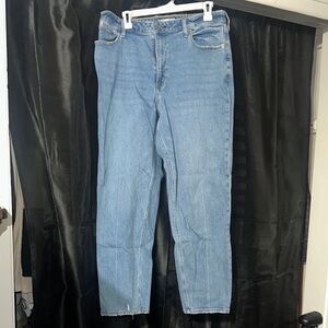 Abercrombie & Fitch Blue Straight Jeans